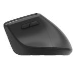 Rapoo EV310M mouse Ufficio Mano destra RF senza fili + Bluetooth Ottico 2400 DPI