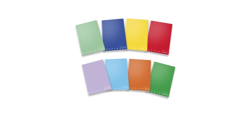 Pigna 02298884F writing notebook A4 38 sheets Multicolour