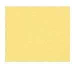 Tulipe rame 25F 50x65cm 160g - Bouton d'or