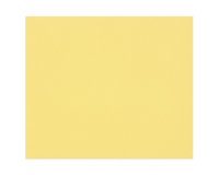 Tulipe rame 25F 50x65cm 160g - Bouton d'or