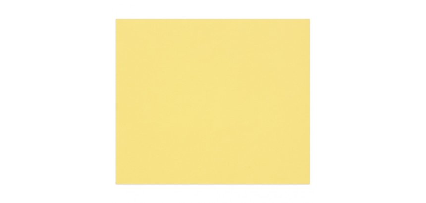 Tulipe rame 25F 50x65cm 160g - Bouton d'or