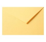 Tulipe rame 25F 50x65cm 160g - Bouton d'or