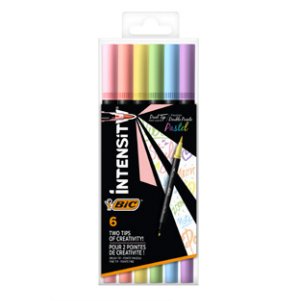Etui x 6 feutres double pointe : 1 pointe pinceau et 1 pointe fine. Couleurs assorties.