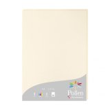 Etui de 25 feuilles 210g POLLEN 21x29,7cm. Coloris Ivoire