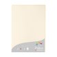 Etui de 25 feuilles 210g POLLEN 21x29,7cm. Coloris Ivoire