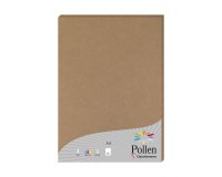 Etui de 25 feuilles Pollen 210x297 210g/m2 - Kraft