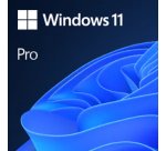 Microsoft Windows 11 Pro 1 licence(s)