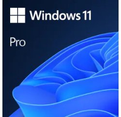 Microsoft Windows 11 Pro 1 licence(s)