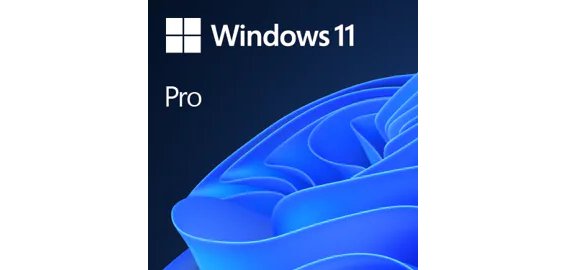 Microsoft Windows 11 Pro 1 licence(s)