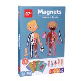 Boîte de 63 magnets pour apprendre le corps humain