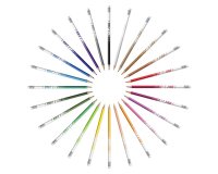 Crayon couleur bic evolution illusion resine de synthese   corps rond mine tres solide   effacable etui 24un