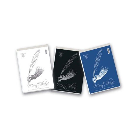 Pigna 02291211R writing notebook A4 Multicolour