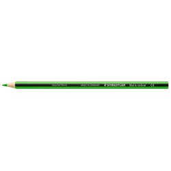 Crayons staedtler noris colour 185 coloris vert clair pochette de 12