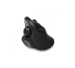 Port Designs 900719 souris Bureau Droitier RF sans fil + Bluetooth Optique 1600 DPI