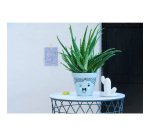 Marqueur edding e-750 peinture brillante couvrante  verre metal plastique papier  couche pointe moyenne - 8un