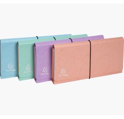 Trieur exacompta pocket 6 compartiments carte lustree   26x13cm coloris aquarel       assortis bleu corail mauve