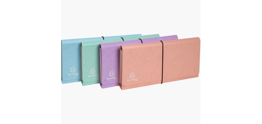 Trieur exacompta pocket 6 compartiments carte lustree   26x13cm coloris aquarel       assortis bleu corail mauve