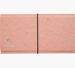 Trieur exacompta pocket 6 compartiments carte lustree   26x13cm coloris aquarel       assortis bleu corail mauve