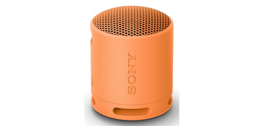 Sony SRS-XB100 Altavoz monofónico portátil Naranja