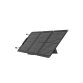 EcoFlow EFSOLAR60 placa solar 60 W Silicio monocristalino