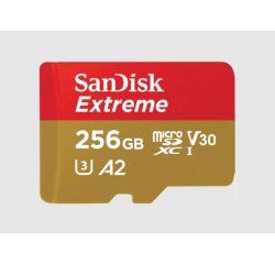 SanDisk Extreme - flash memory card - 256 GB - microSDXC UHS-I