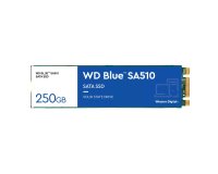 Western Digital Blue SA510 250 Go M.2 Série ATA III