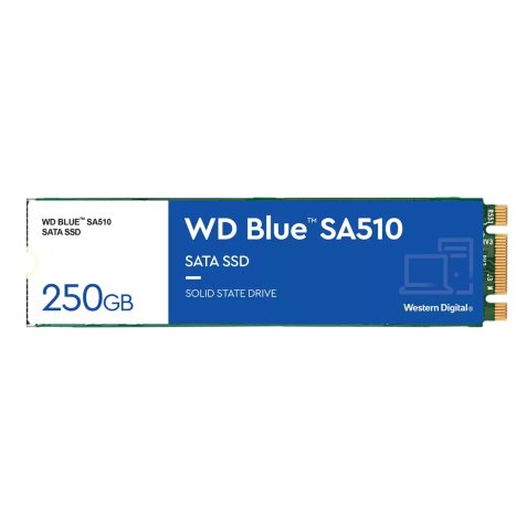 Western Digital Blue SA510 250 Go M.2 Série ATA III