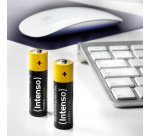 Intenso 7501424 batteria per uso domestico Batteria monouso Stilo AA Alcalino