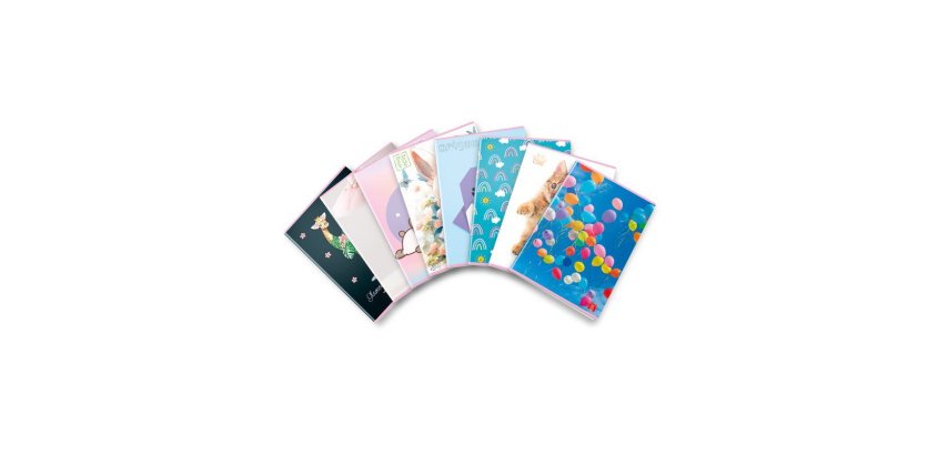 Pigna 02330340B writing notebook Multicolour