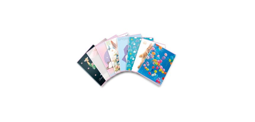 Pigna 02330340A writing notebook Multicolour