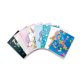 Pigna 02330340Q writing notebook Multicolour