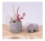 Pâte à modeler jovi autodurcissante coloris gris pain 500g