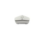 Rapoo M100 Silent mouse Ufficio Ambidestro RF senza fili + Bluetooth Ottico 1300 DPI