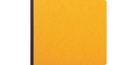 Manifold comptable exacompta piqué tête paresseuse 270x320mm horizontal 31 lignes 80 pages 24 colonnes/2 pages