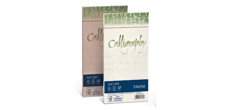 Favini Nature Calligraphy busta DL (110 x 220 mm) Grigio 25 pz