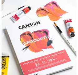 Canson Graduate Art paper 20 sheets