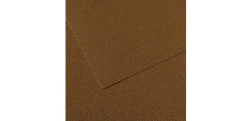 Papier dessin canson feuille mi-teintes n 501 grain        gelatine haute teneur coton   160g 50x65cm unicolore marron