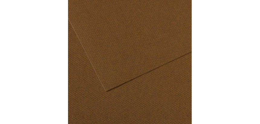 Papier dessin canson feuille mi-teintes n 501 grain        gelatine haute teneur coton   160g 50x65cm unicolore marron