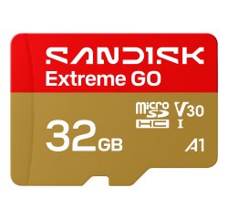 SanDisk Extreme GO 32 Go MicroSDHC UHS-I