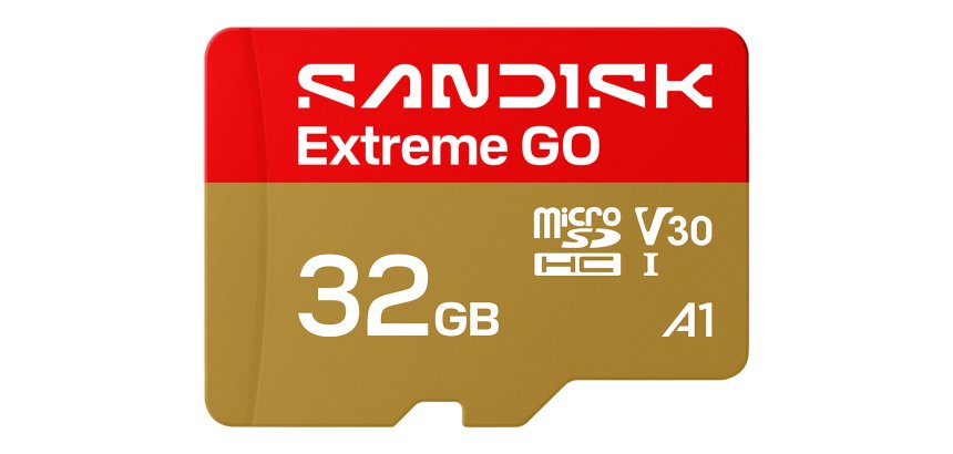 SanDisk Extreme GO 32 Go MicroSDHC UHS-I