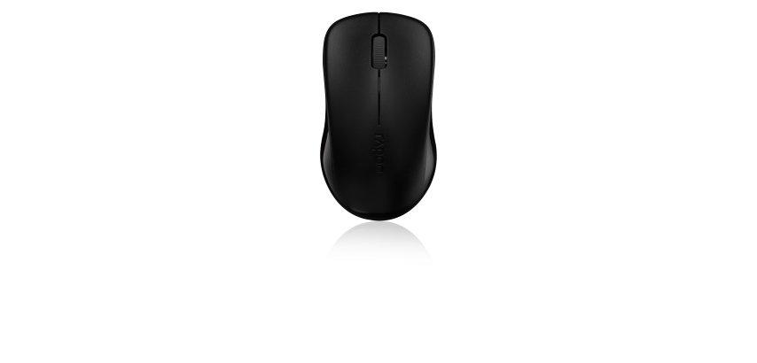 Rapoo 1620 mouse Ottico 1000 DPI
