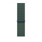 Apple MXL83ZM/A slimme draagbare accessoire Band Groen Nylon, Polyester, Spandex