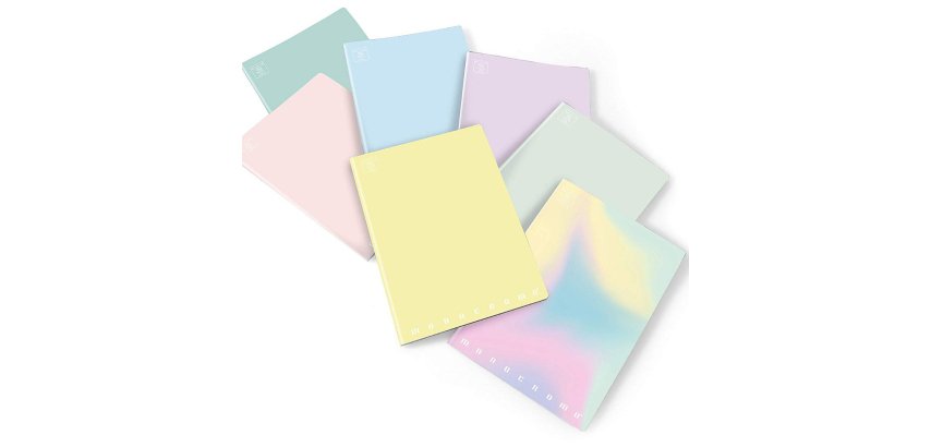 Pigna 02282125M writing notebook A4 40 sheets Multicolour