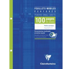 Feuillets mobiles sous étui 17x22 cm 100 pages perforées 2 trous petits carreaux