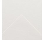 Bloc croquis canson xl spirale petit côté micro-perforations 90g a3 120f