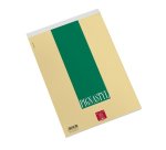Pigna 0213748BI writing notebook A4 70 sheets Multicolour