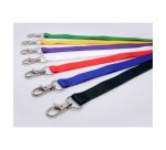 Cordons badges avery recycles mousqueton 44 cm lot de 10    coloris vert