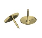 Punaise wonday laiton boite 100 unites