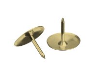 Punaise wonday laiton boite 100 unites