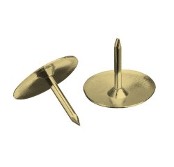 Punaise wonday laiton boite 100 unites